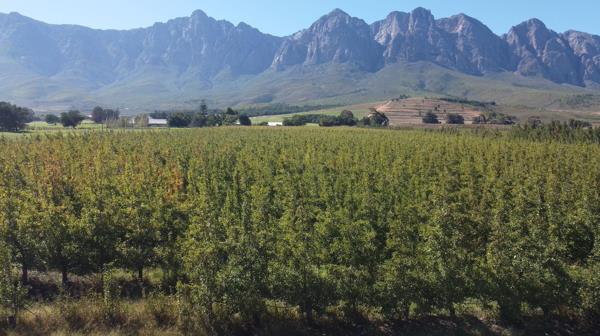 34.1 ha Farm with House