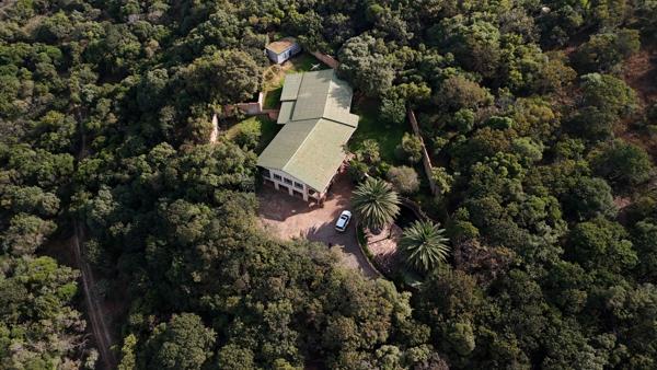 10.1 ha Smallholding