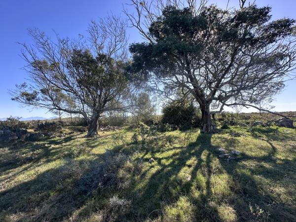 179 ha Farm with House