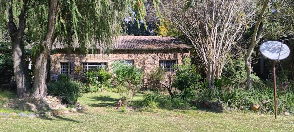 25 ha Smallholding