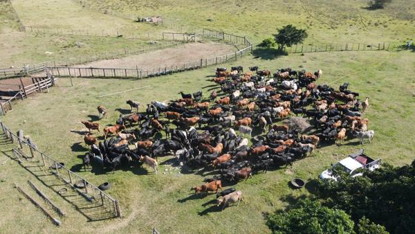 791 ha Farm