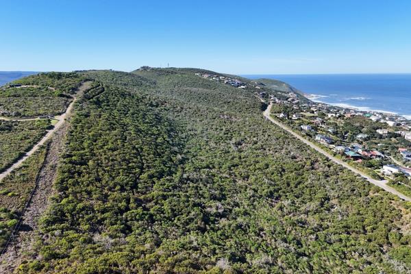 8.6 ha Land