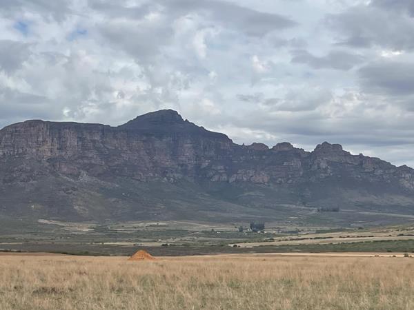 1 200 ha Farm with House
