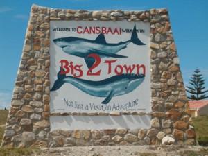 852 m² Land
