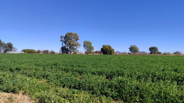 68.5 ha Land