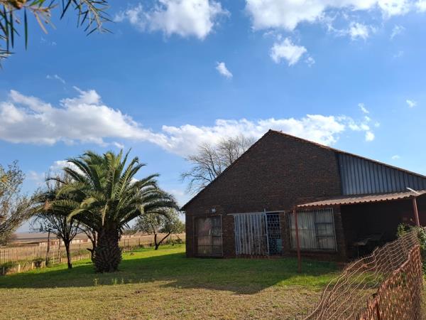 1.6 ha Smallholding