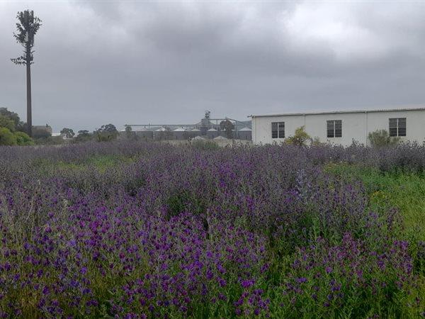 2 974 m² Land