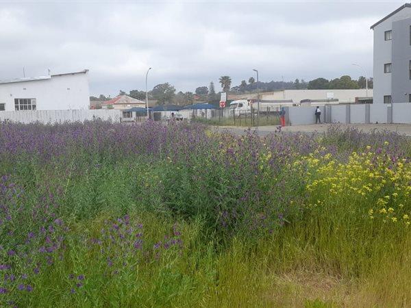 2 974 m² Land