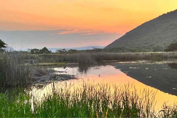 1 475 m² Land