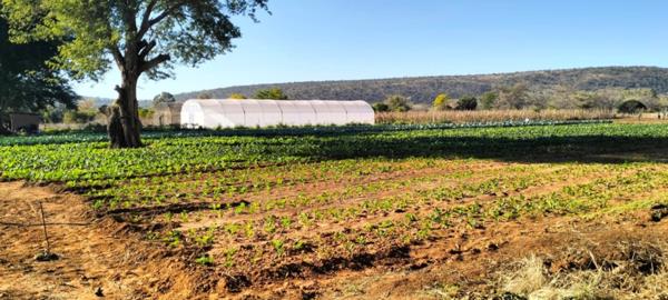 21 ha Farm
