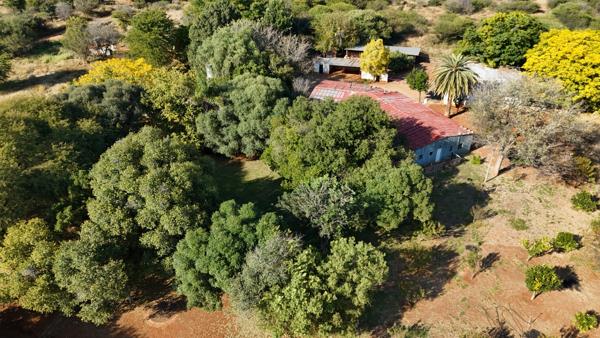 8.5 ha Smallholding