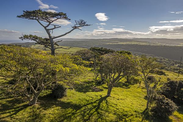 16.5 ha Smallholding