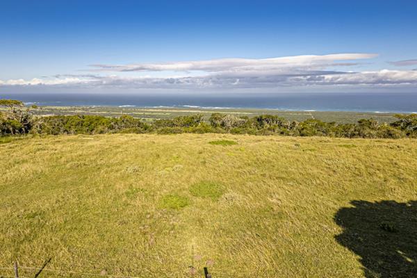 16.5 ha Smallholding