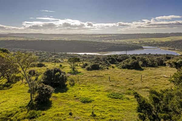 16.5 ha Smallholding