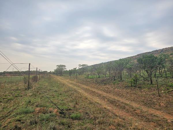 4.2 ha Land