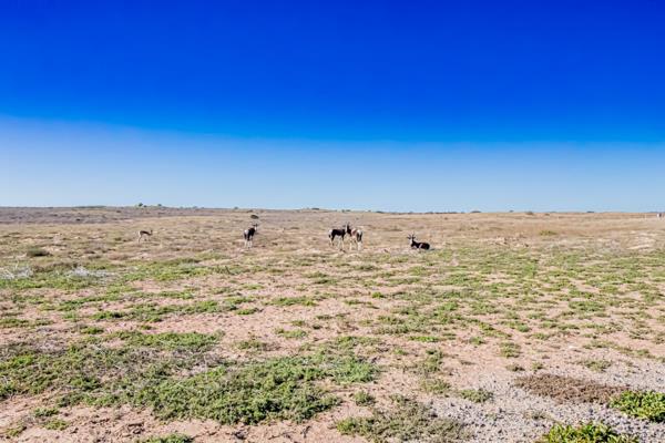 895 m² Land