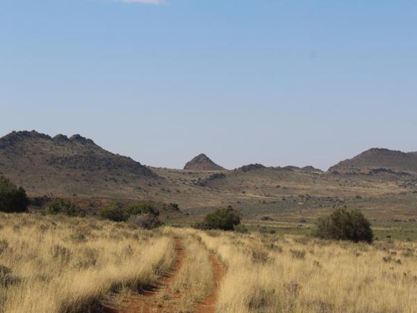 8 280 ha Farm