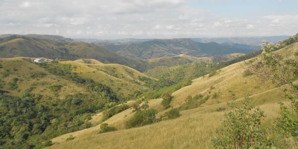 136 ha Farm