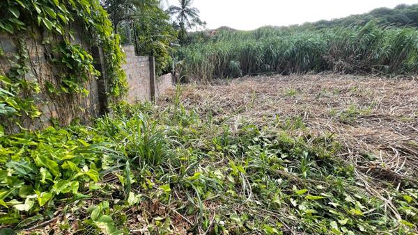 1 120 m² Land