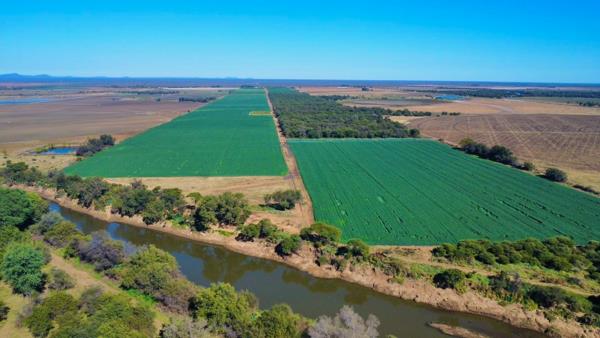 73.5 ha Commercial Farm