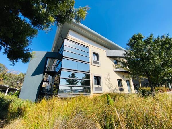 173  m² Office Space