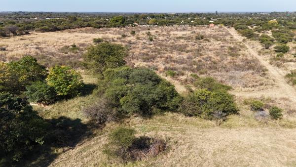 8.5 ha Smallholding