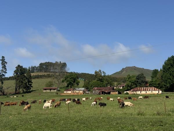 165 ha Farm