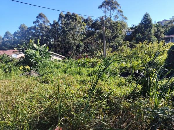 295 m² Land