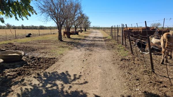 21.4 ha Farm