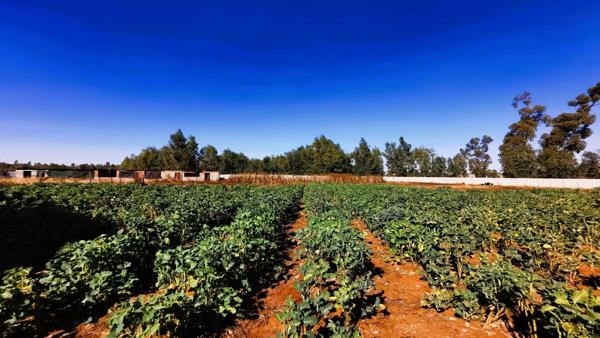 8 565 m² Farm