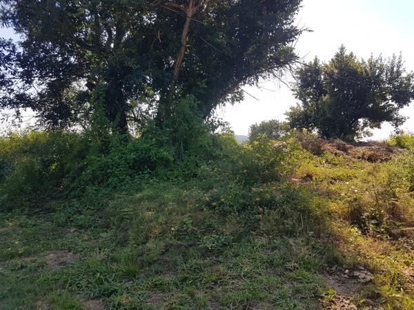 1 054 m² Land