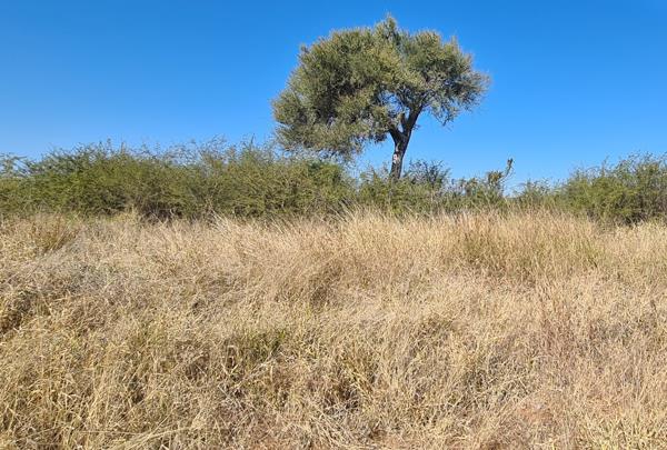 769 m² Land