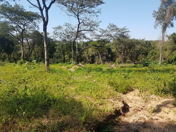1 120 m² Land