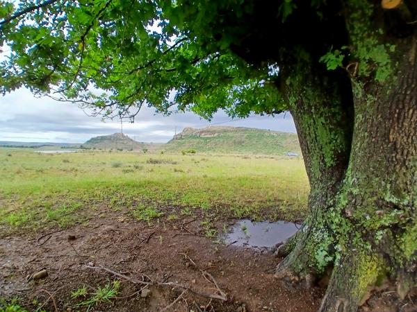 3 643 m² Land
