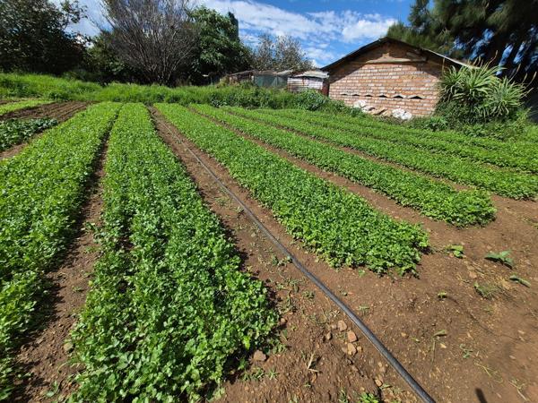 4.5 ha Smallholding