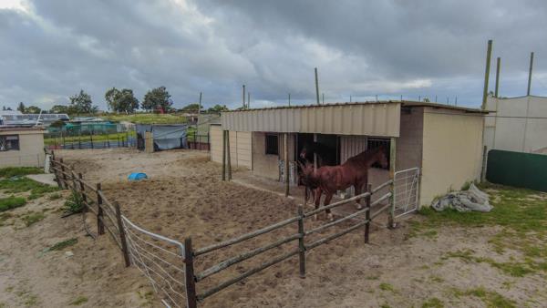 41.3 ha Smallholding