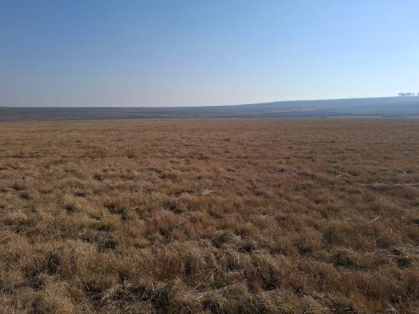 1 455 m² Land