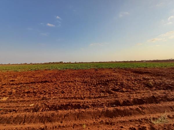 438 ha Farm