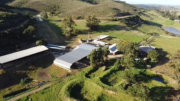 96 ha Farm