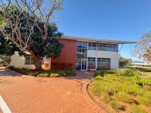 215  m² Commercial space