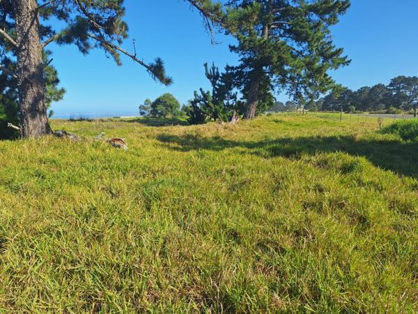 1.6 ha Land
