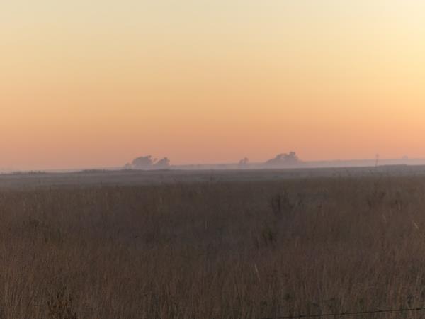 83 ha Agricultural Holding