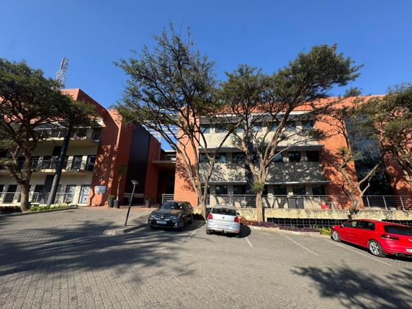 293.9 m² Commercial space