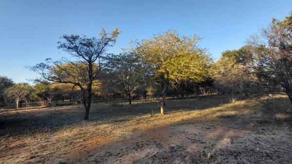 1.5 ha Land