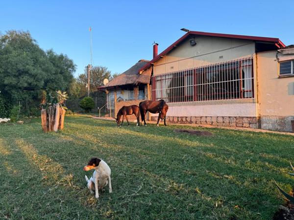 101.8 ha Farm