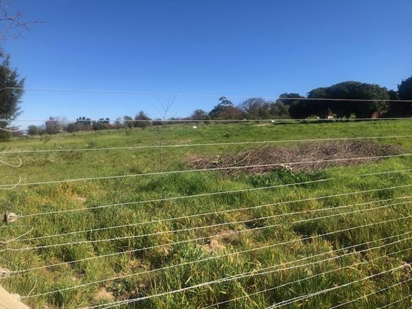 1.7 ha Smallholding