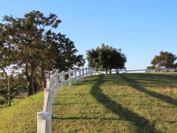 468 m² Land