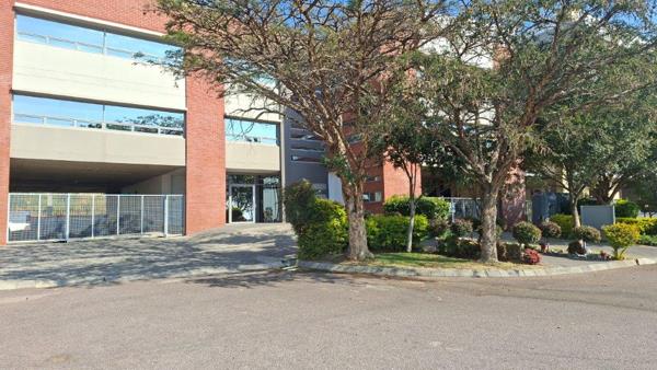 137  m² Office Space