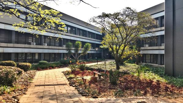 217  m² Office Space