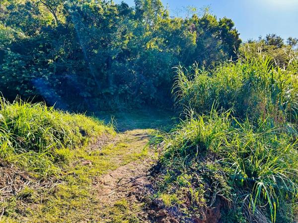 9 181 m² Land
